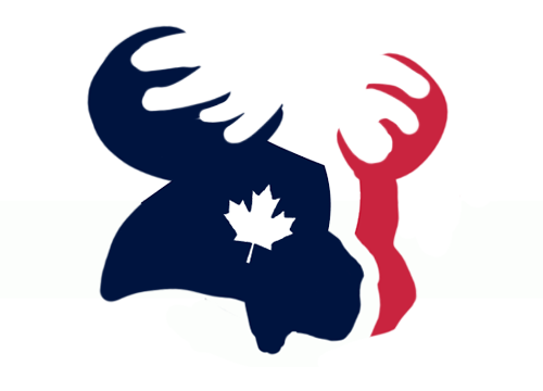 Houston Texans Canadian Logos fabric transfer